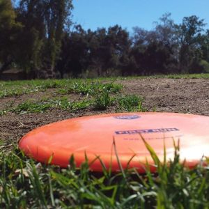 10653808_790502367701669_9019808279428176823_n