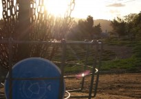 Welcome to Noodle Arm Disc Golf