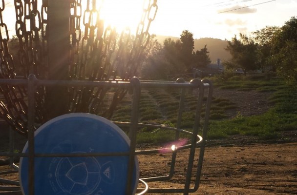 Welcome to Noodle Arm Disc Golf