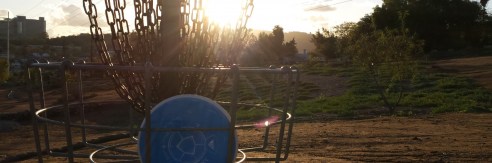 Welcome to Noodle Arm Disc Golf