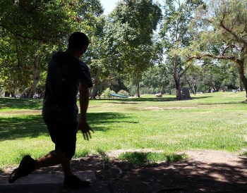 Thrown on a slight hyzer, the Wave will flip up, ride flat, and fade at the end.