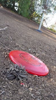 The Discmania MD finds a home underneath the basket for an easy birdie.