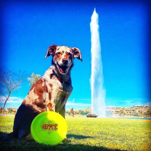 Photo courtesy of Ralph McCabe.